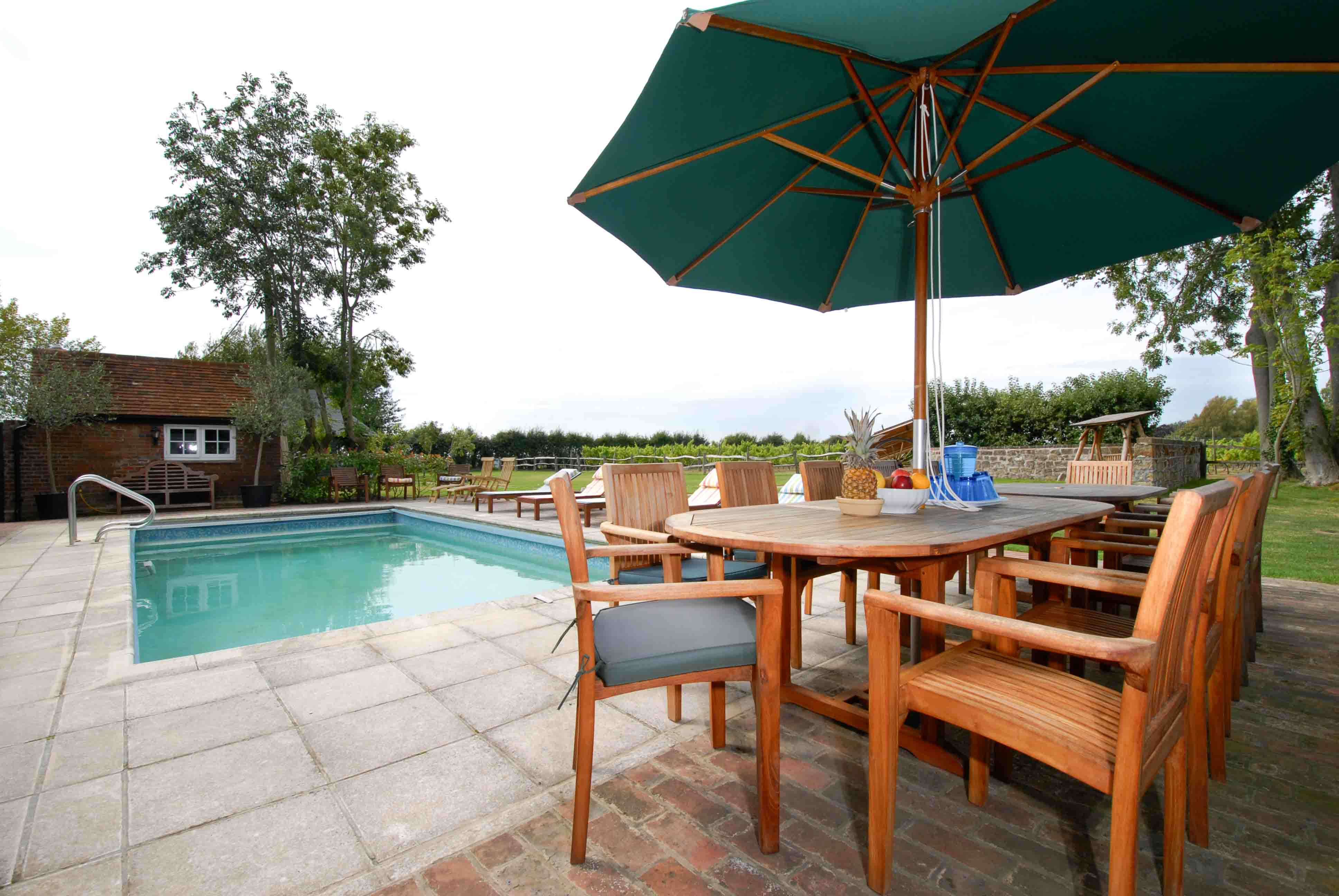 Party House rentals pet-friendly with swimming pool